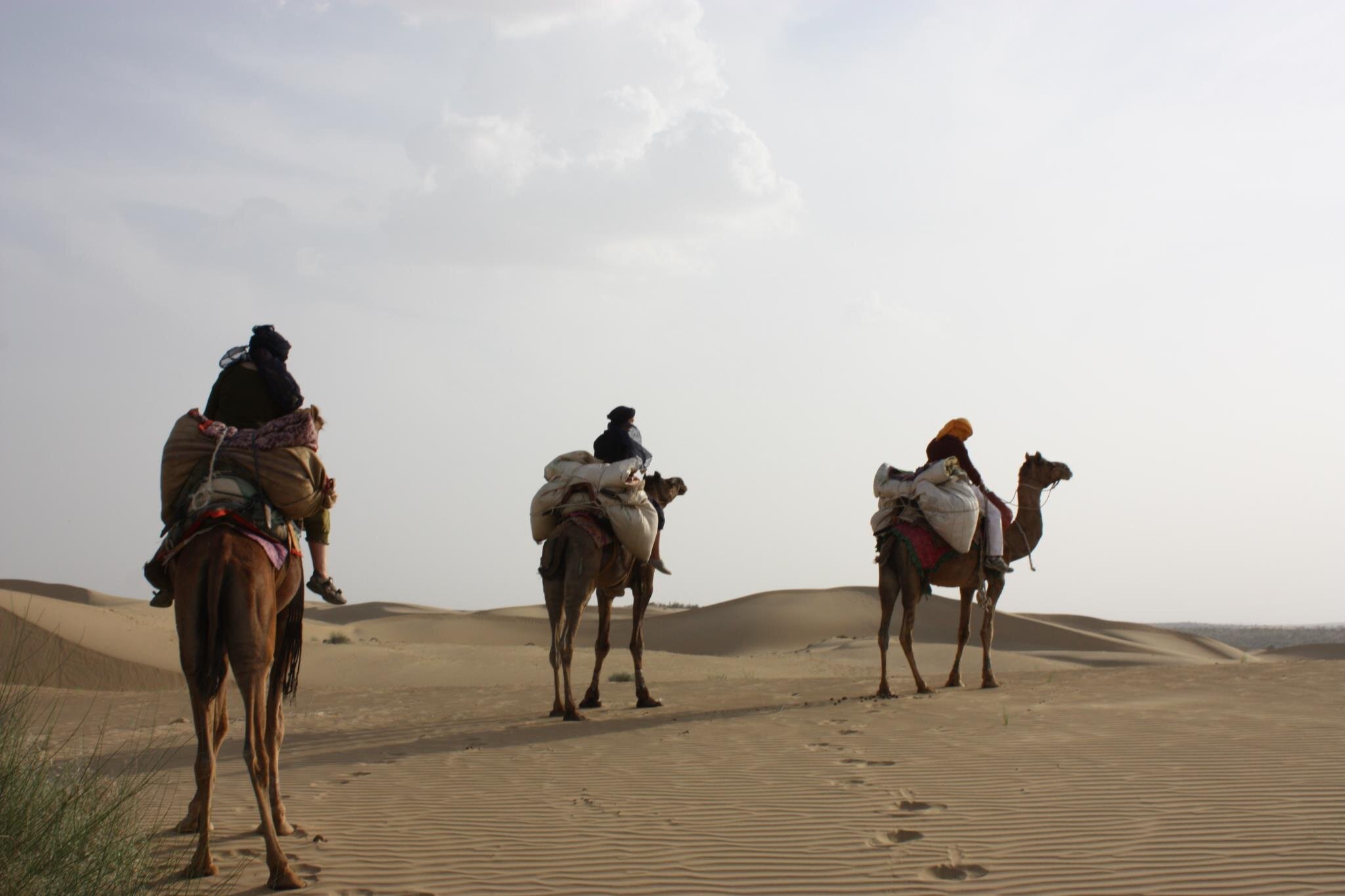 Riding camels in the desert in India
