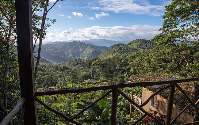 Property for Sale Nicaragua Sustainable Award Winning Eco Lodge With Coffee Farm 31.jpg