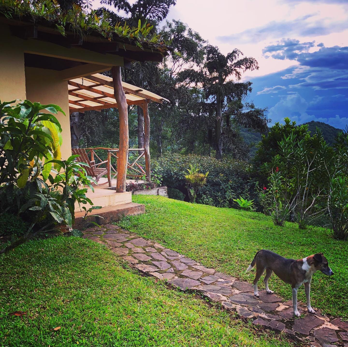 Property for Sale Nicaragua Sustainable Award Winning Eco Lodge With Coffee Farm 13.jpg