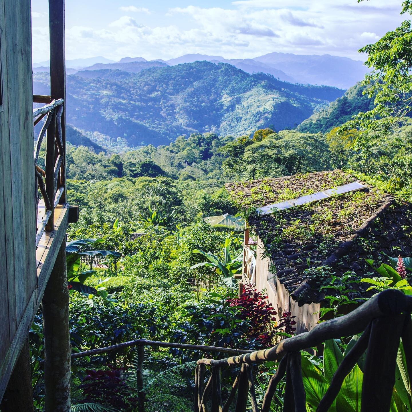 Property for Sale Nicaragua Sustainable Award Winning Eco Lodge With Coffee Farm 16.jpg