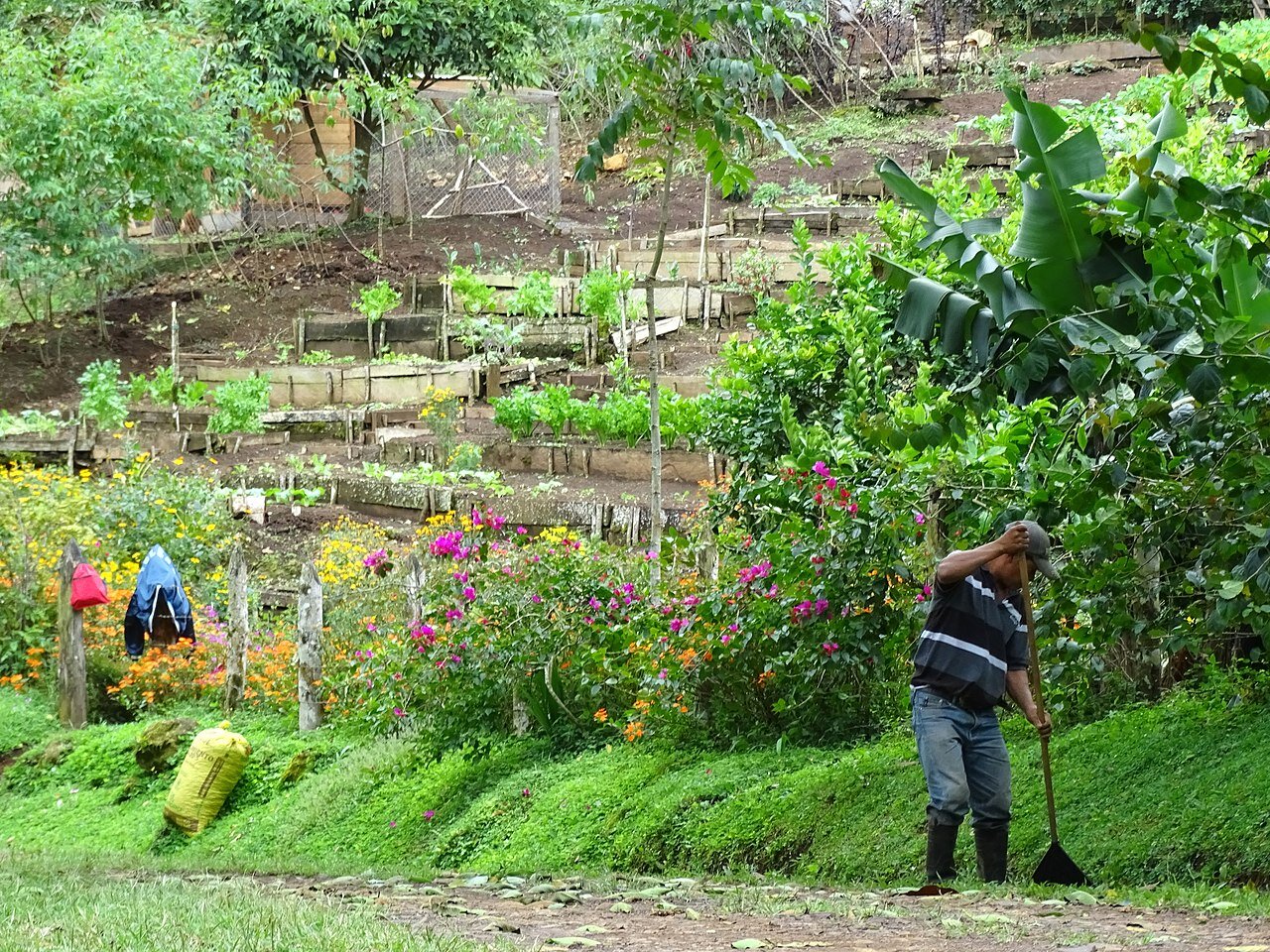 Property for Sale Nicaragua Sustainable Award Winning Eco Lodge With Coffee Farm 4.jpg