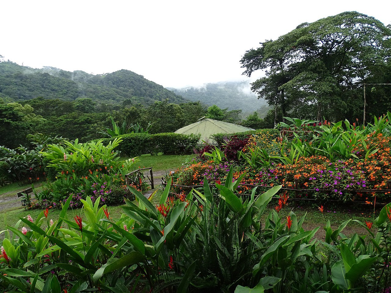 Property for Sale Nicaragua Sustainable Award Winning Eco Lodge With Coffee Farm 3.jpg