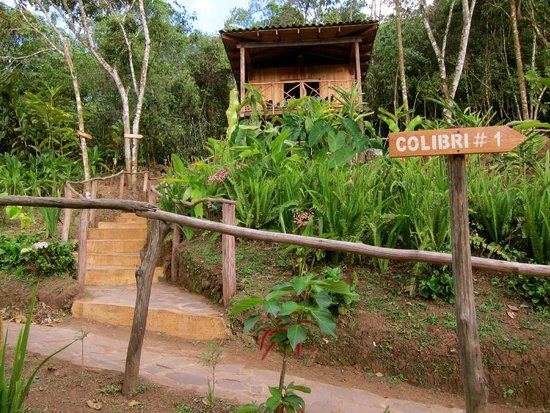 Property for Sale Nicaragua Sustainable Award Winning Eco Lodge With Coffee Farm 36.jpg