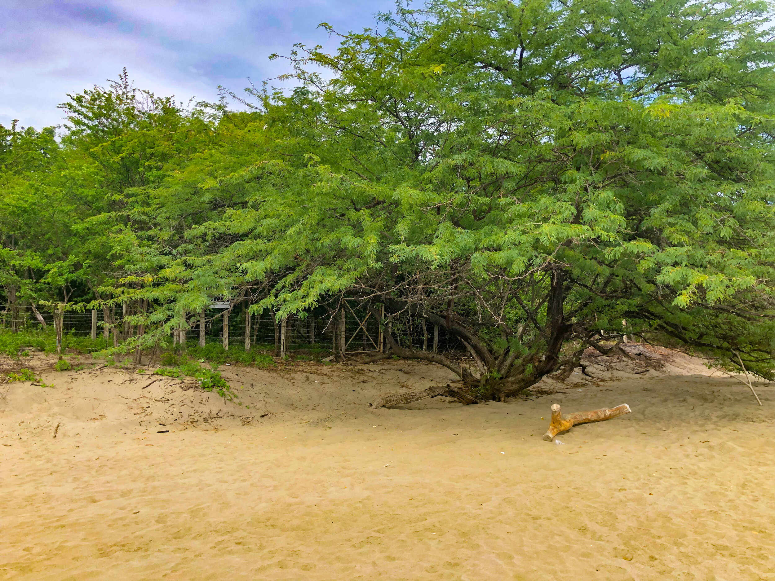Beachfront Property For Sale Nicaragaua 7.JPEG