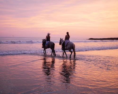 Horse riding Retire in Nicaragua.jpg