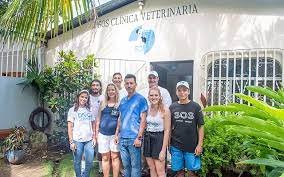 SOS Animal Foundation San Juan Del Sur.jpg