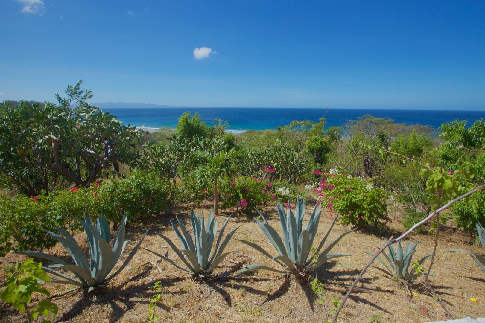 Playa Coco San Juan Del Sur Home on Two Acres For Sale 7.jpeg