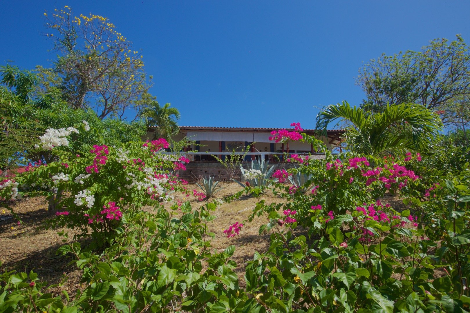 Playa Coco San Juan Del Sur Home on Two Acres For Sale 6.jpeg