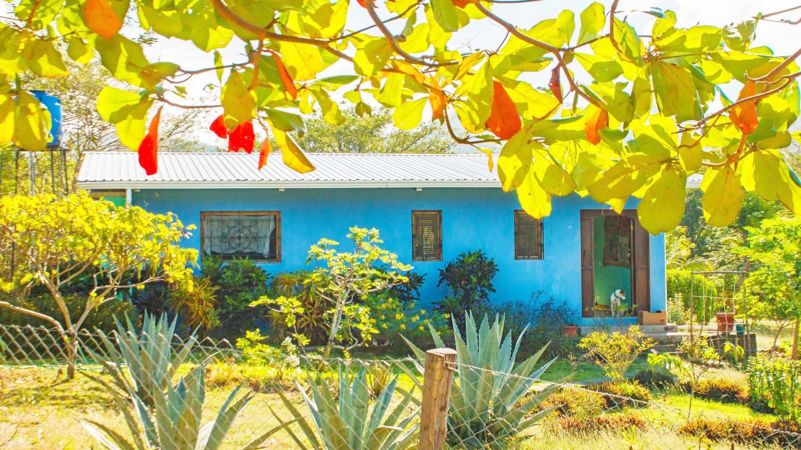 Acreage San Juan Del Sur Property For Sale Nicaragua 117.jpg