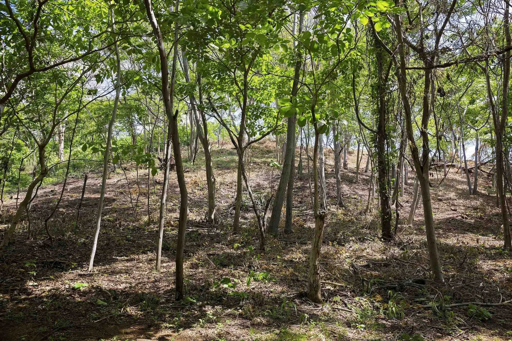 Oceanfront Lot Property For Sale in Nicaragua Real Estate Aqua Resort Redonda Bay Popoyo 8.jpg