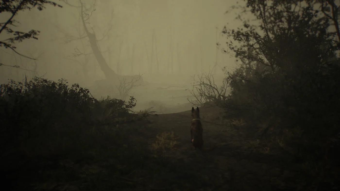 Blair Witch