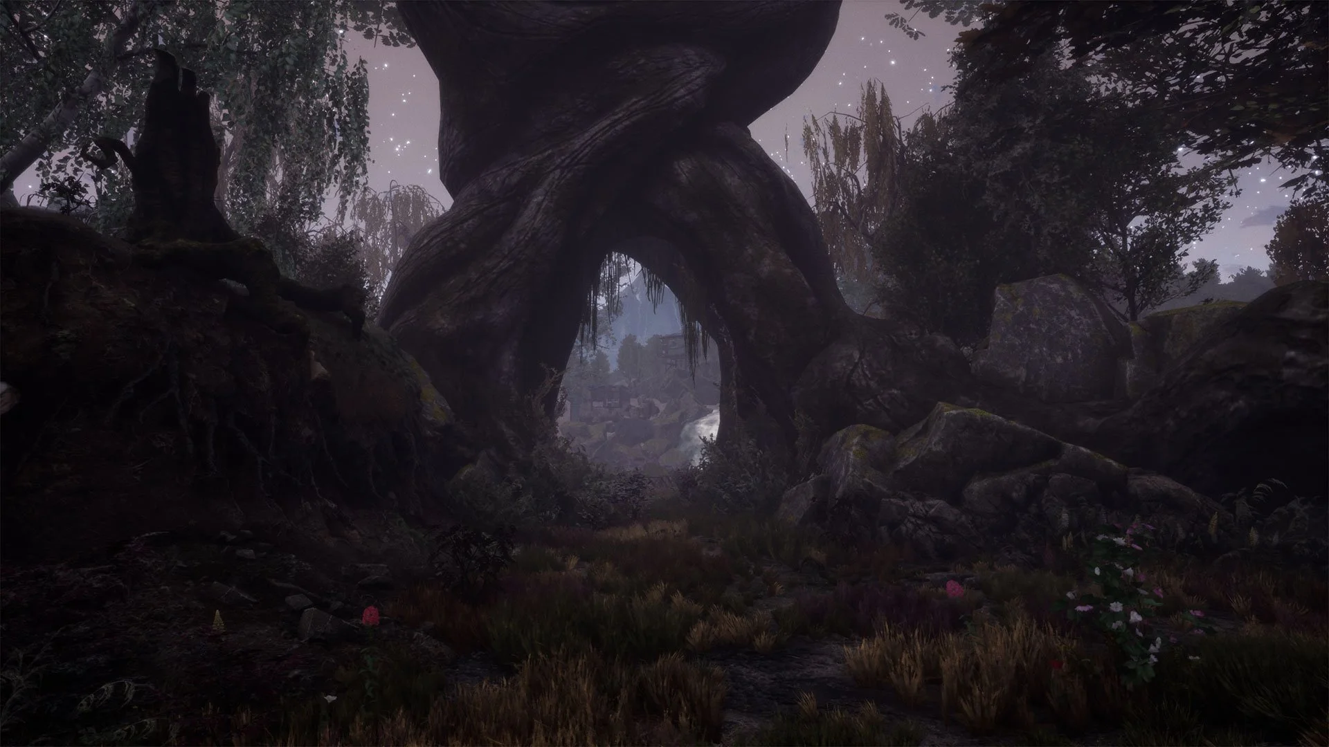 The Dead Tree of Ranchiuna 