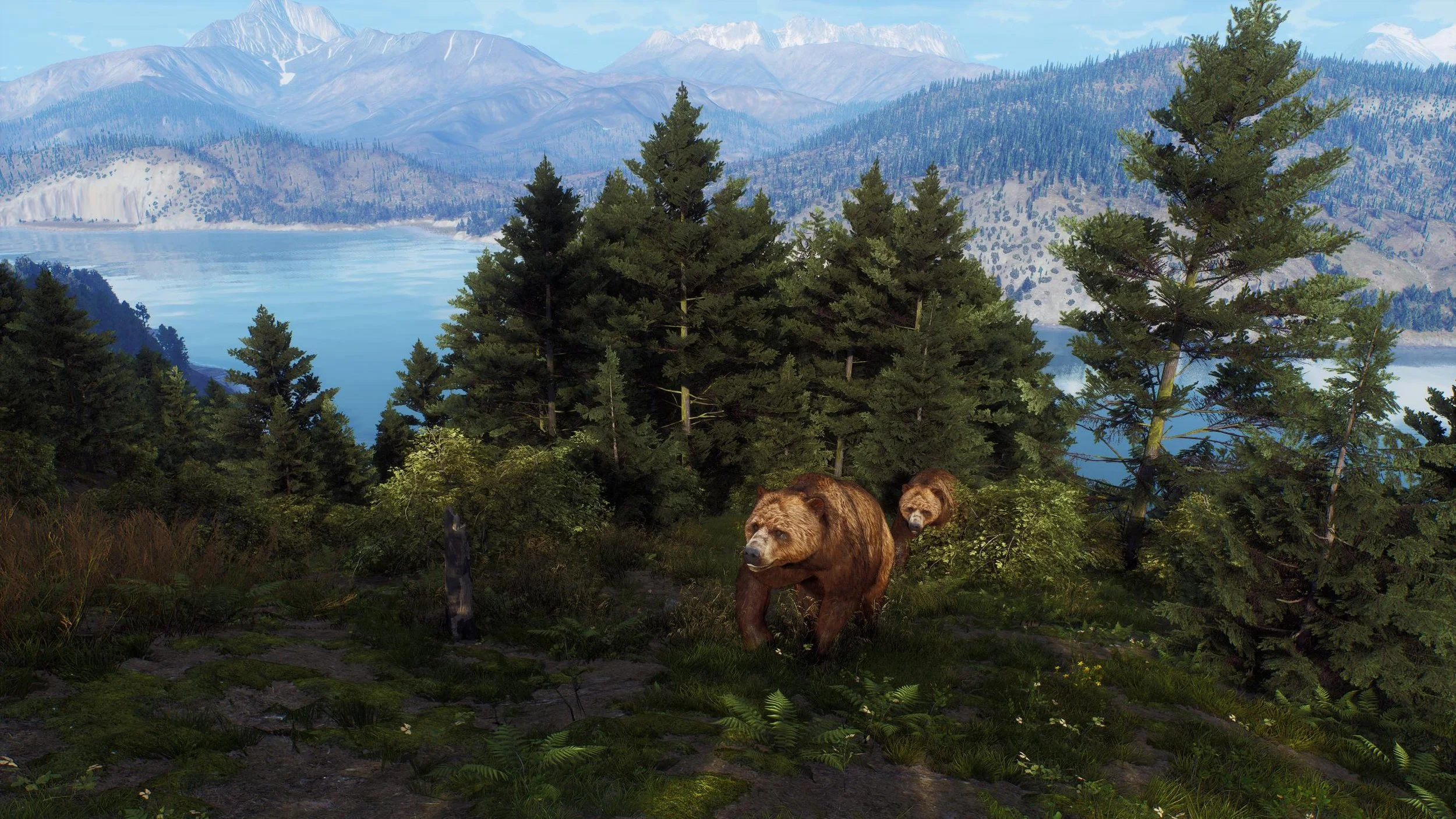 Way of the Hunter - Wild Expeditions is Releasing on October 29, 2024! 