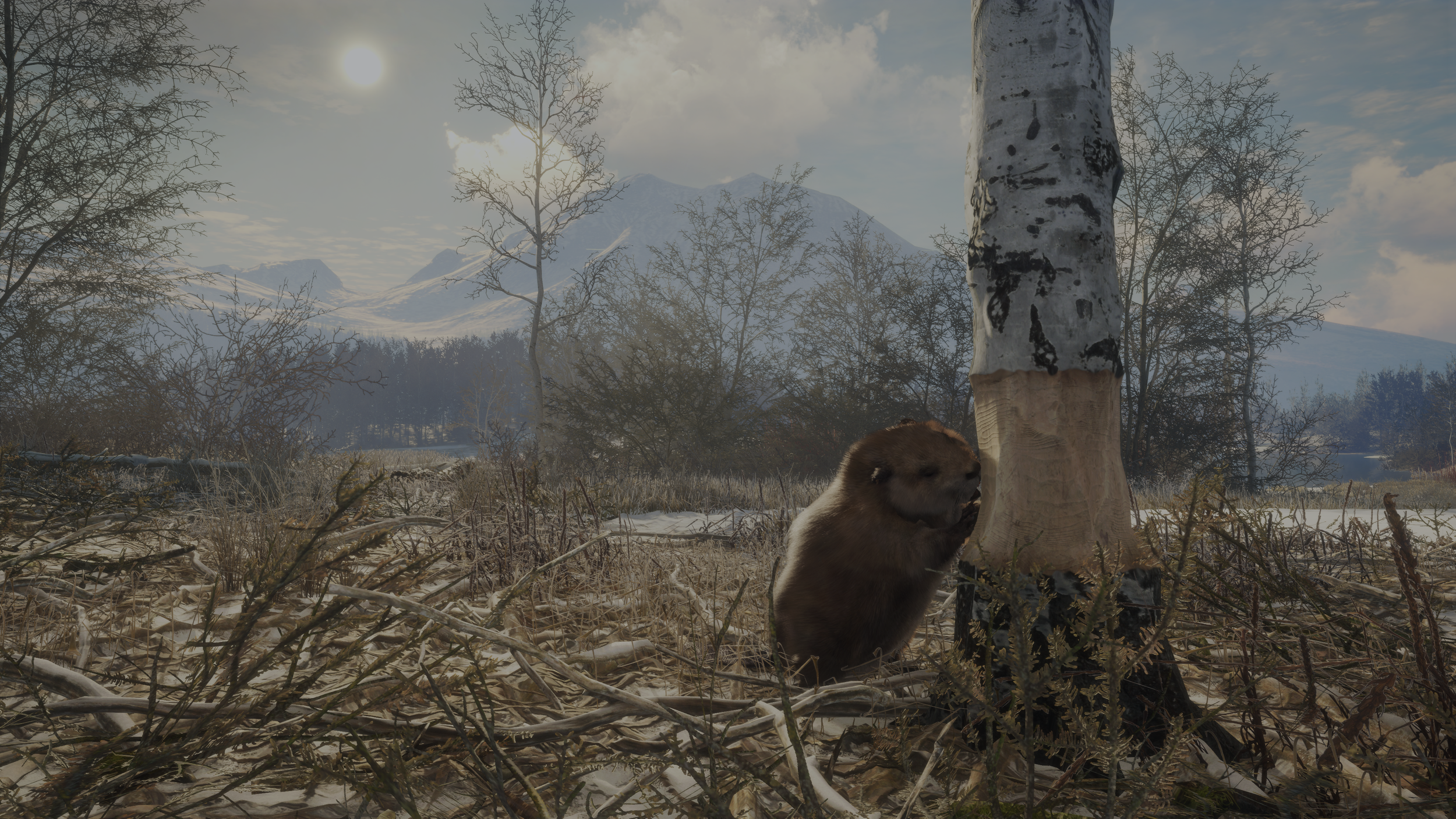 theHunter: Call of the Wild - Askiy Ridge DLC