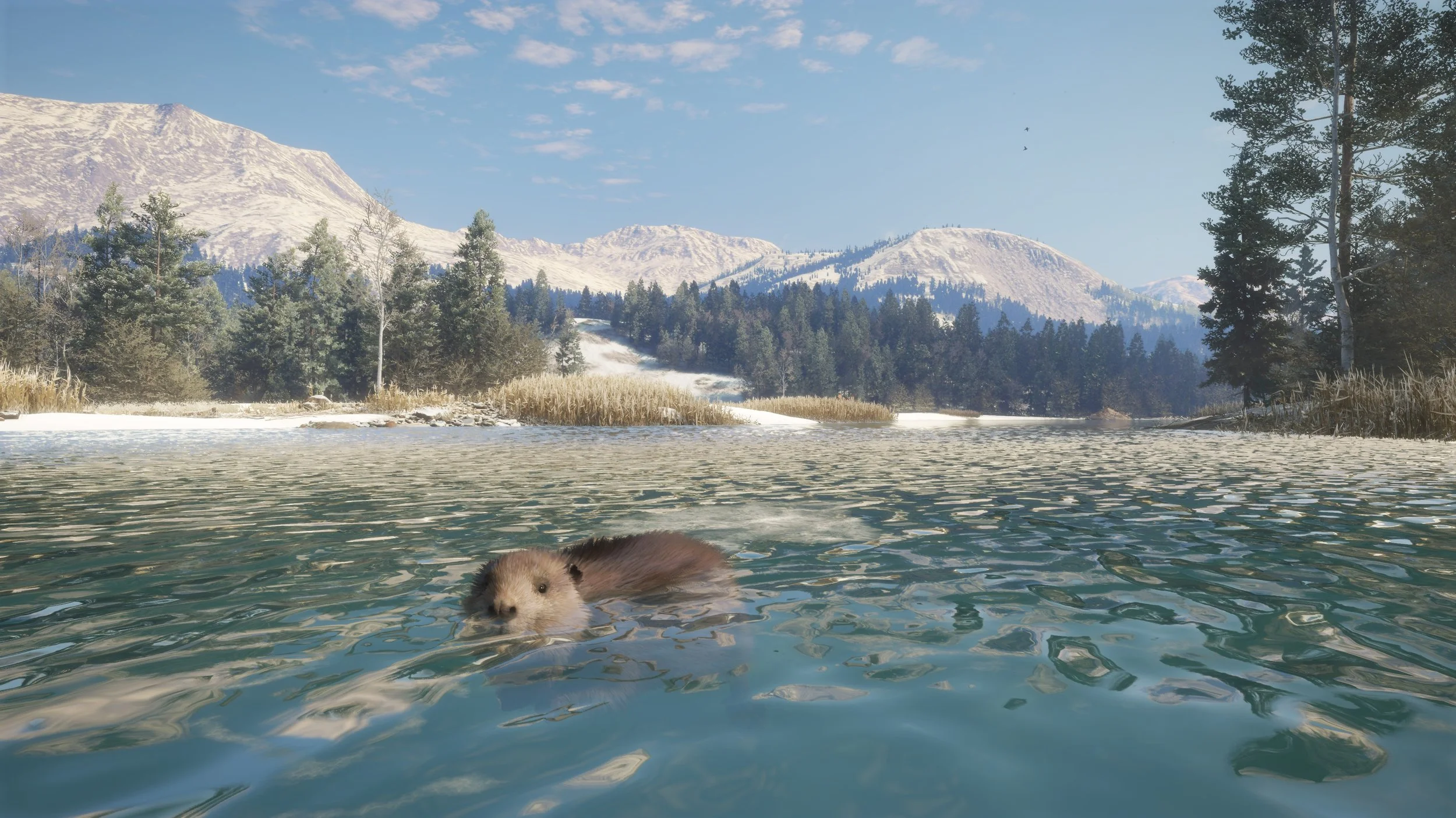 theHunter: Call of the Wild - Askiy Ridge