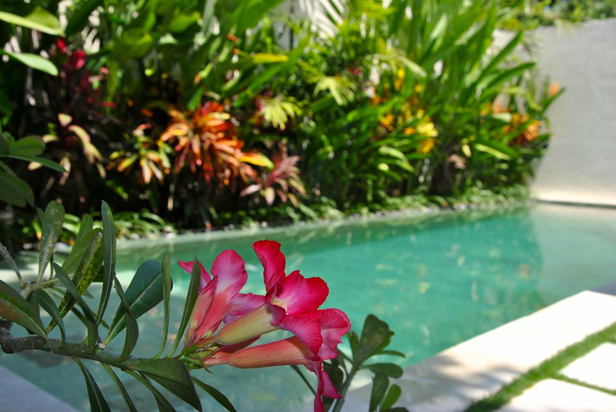 PRIVATE-POOL.png