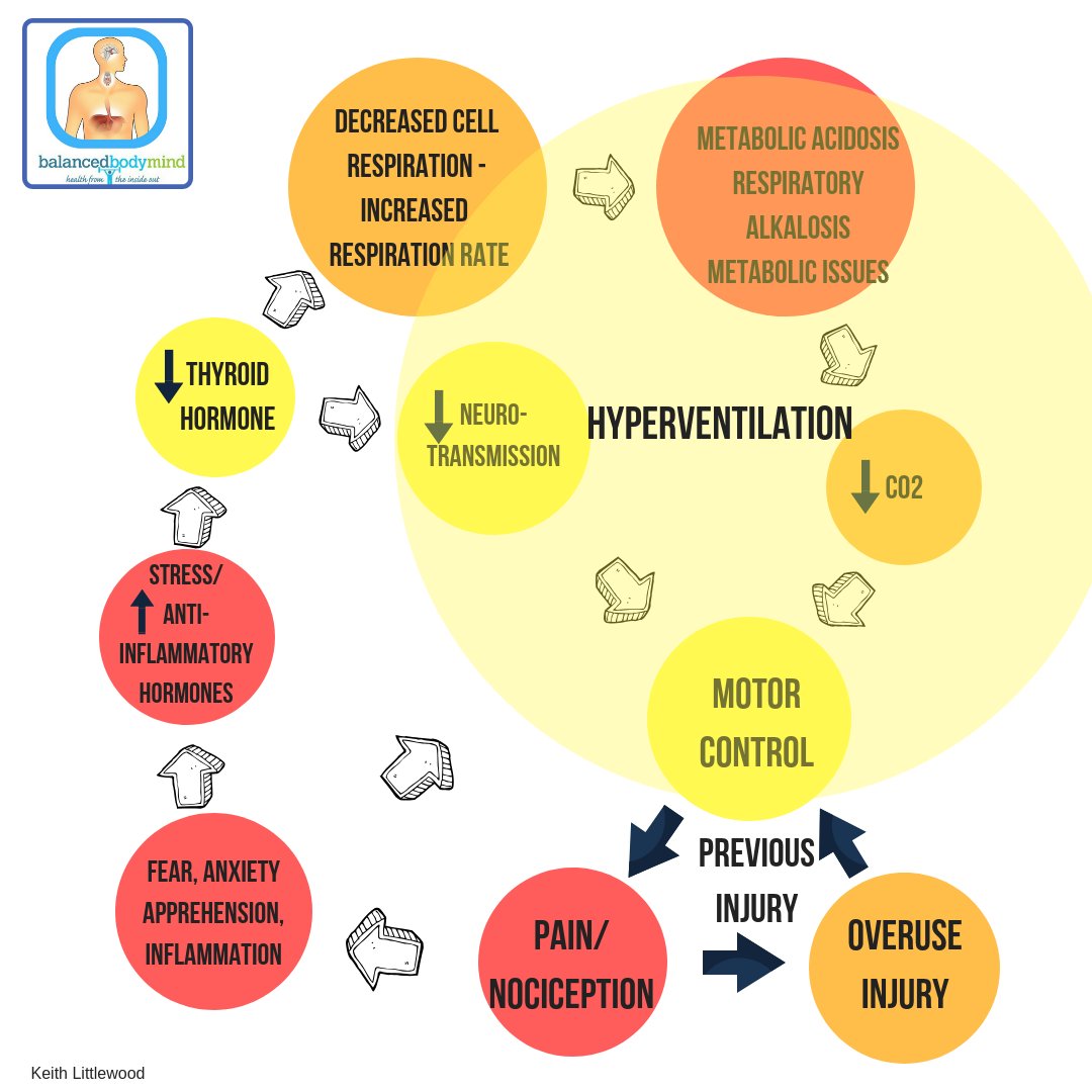 Cycle of injury and breathing pattern dysfunction