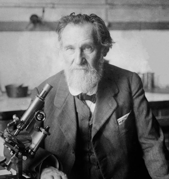 Metchnikoff.png