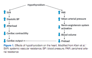 Blog Balanced Body Mind