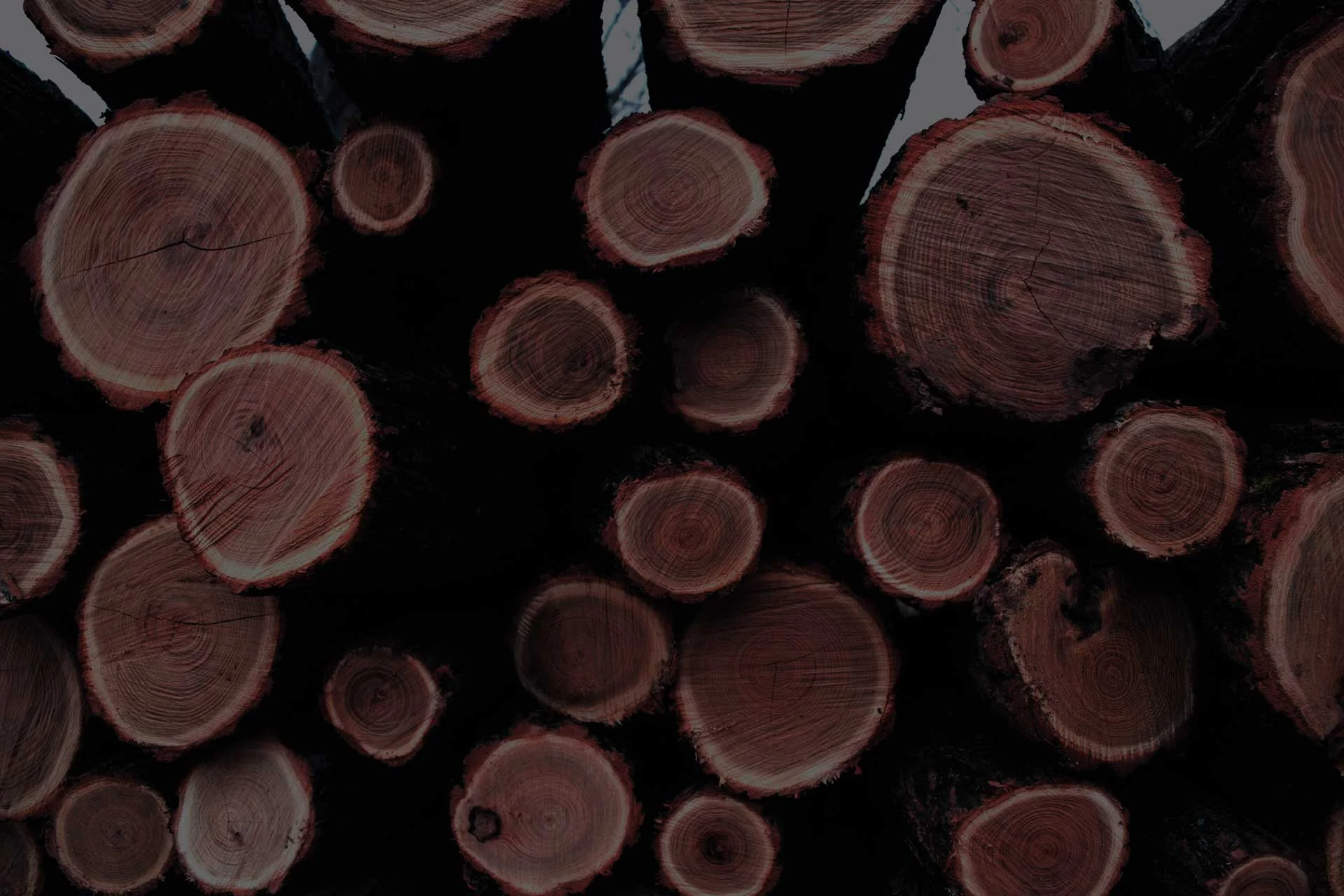 SGG_timber-splash2_180314.jpg