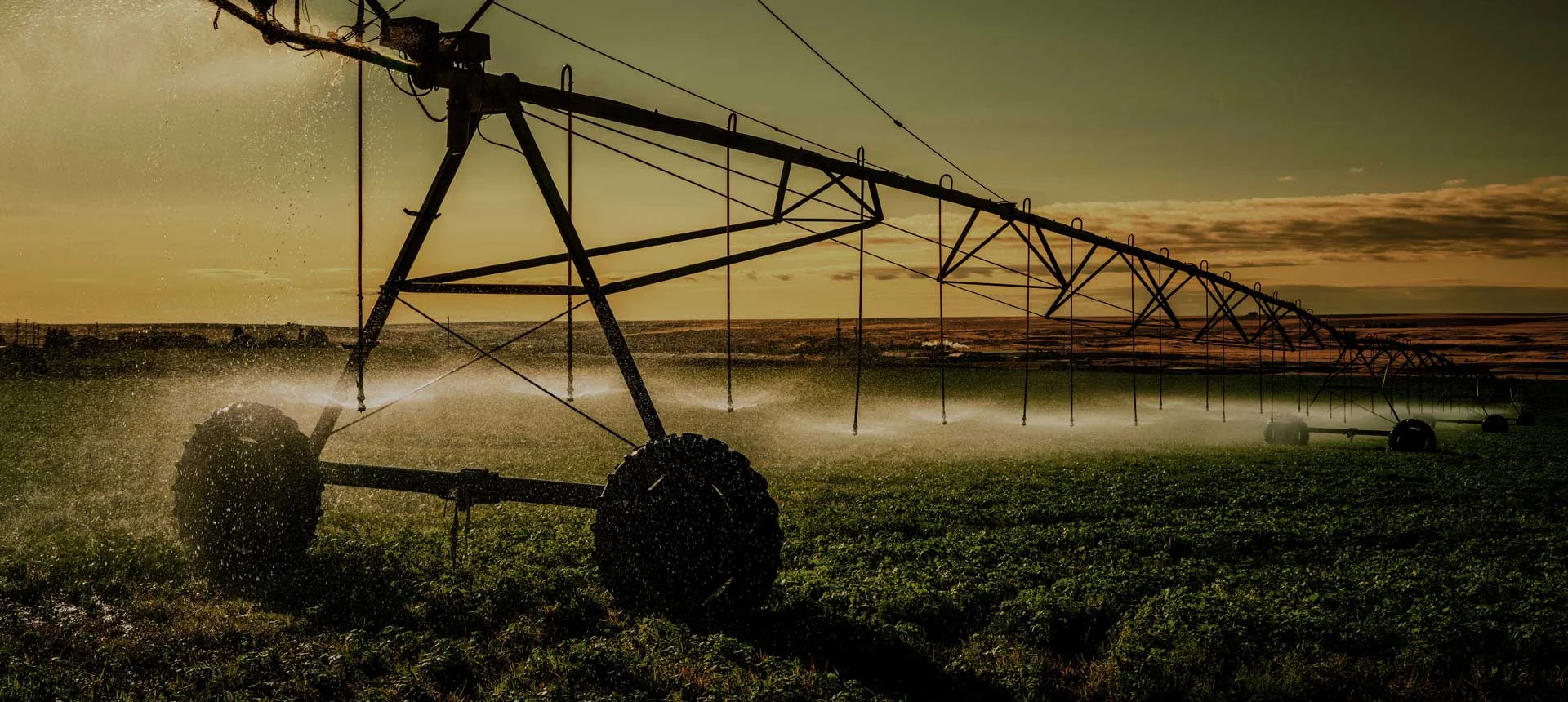 SGG_agri-splash2_180325.jpg