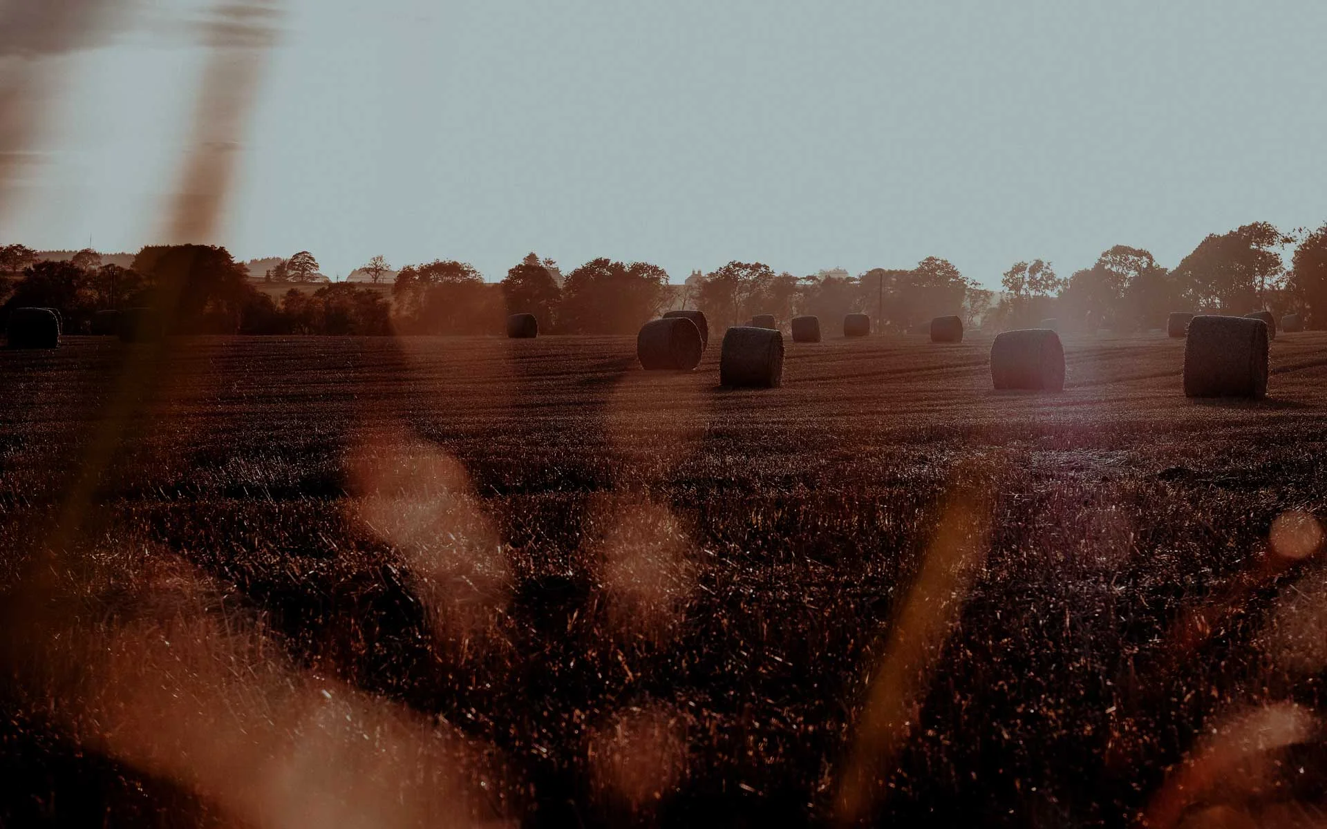 SGG_agriculture-splash_180314.jpg