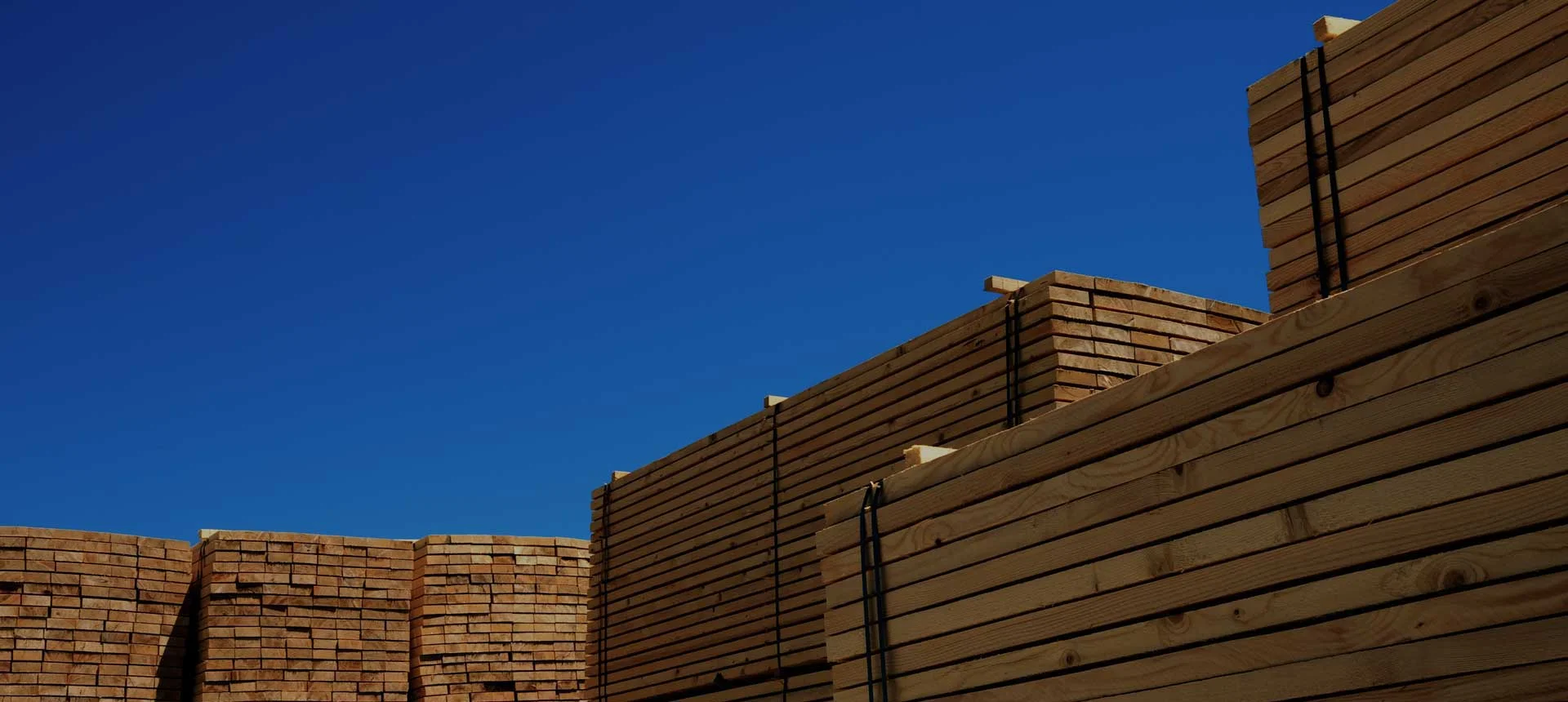 SGG_timber-splash2_180325.jpg