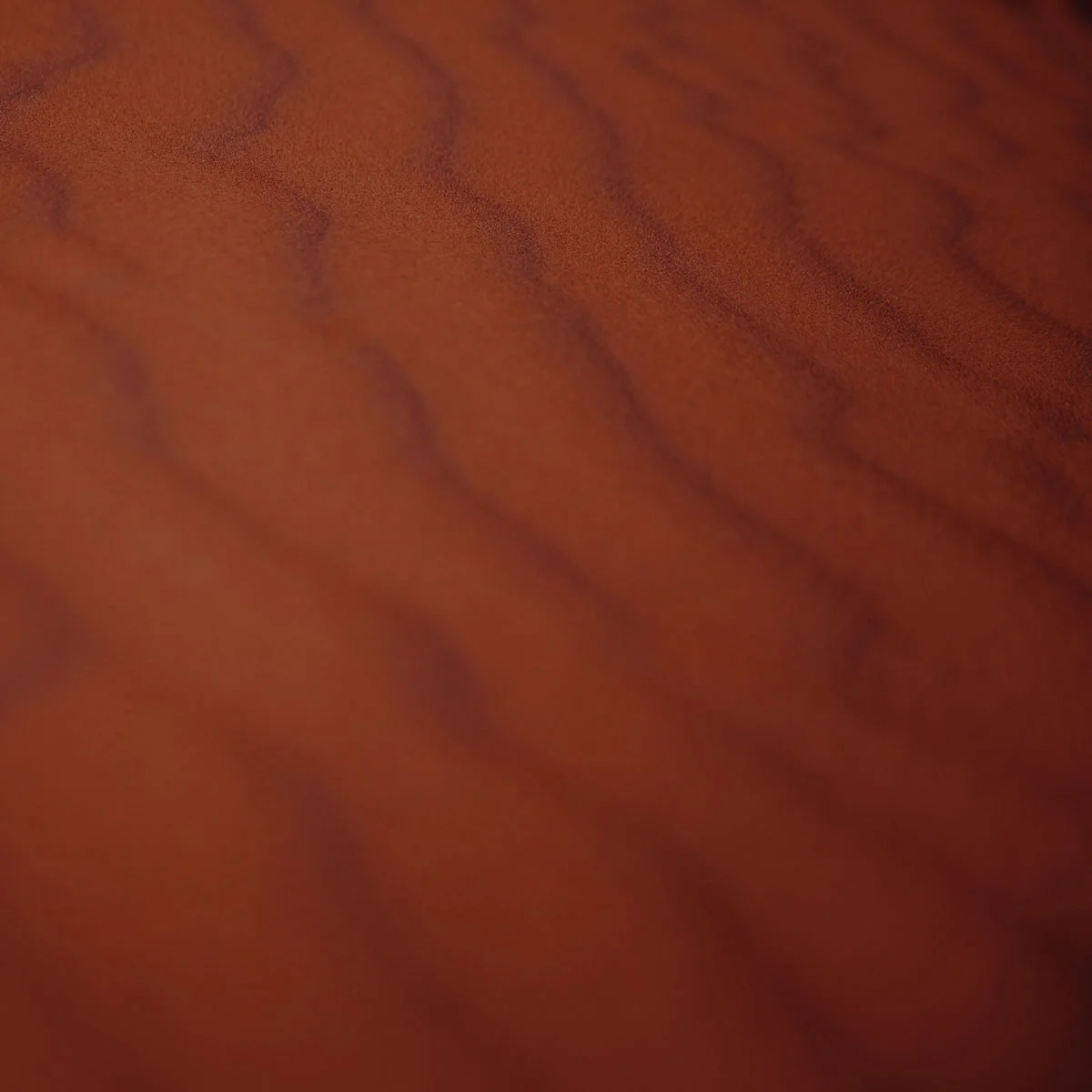 SGG_dust-thumbnail_180405.jpg