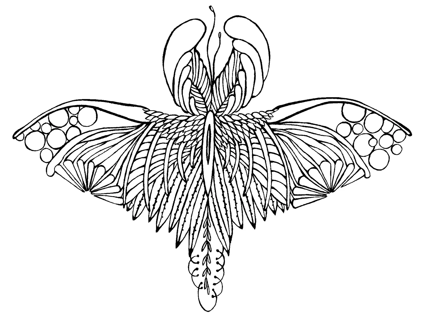 charlotteweb.jpg