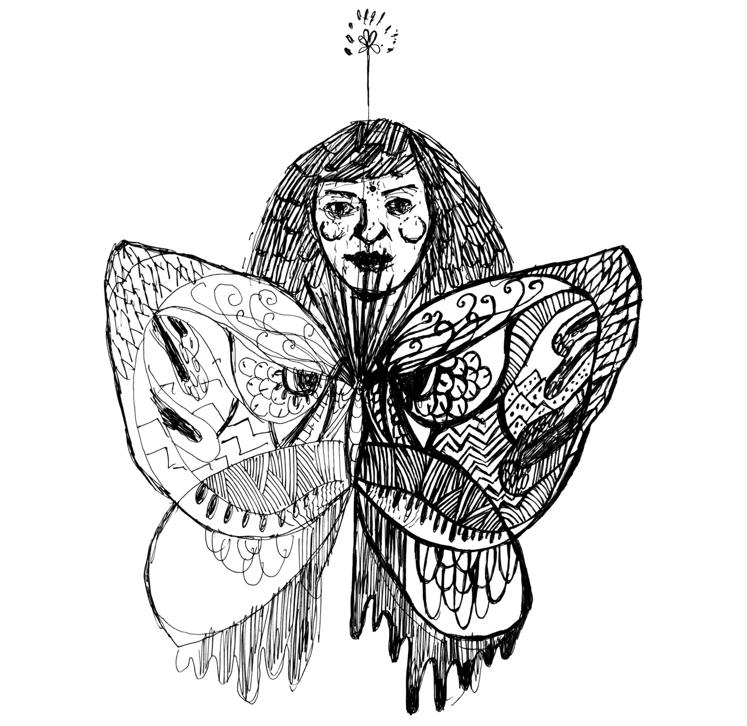 mbutterflyweb.jpg