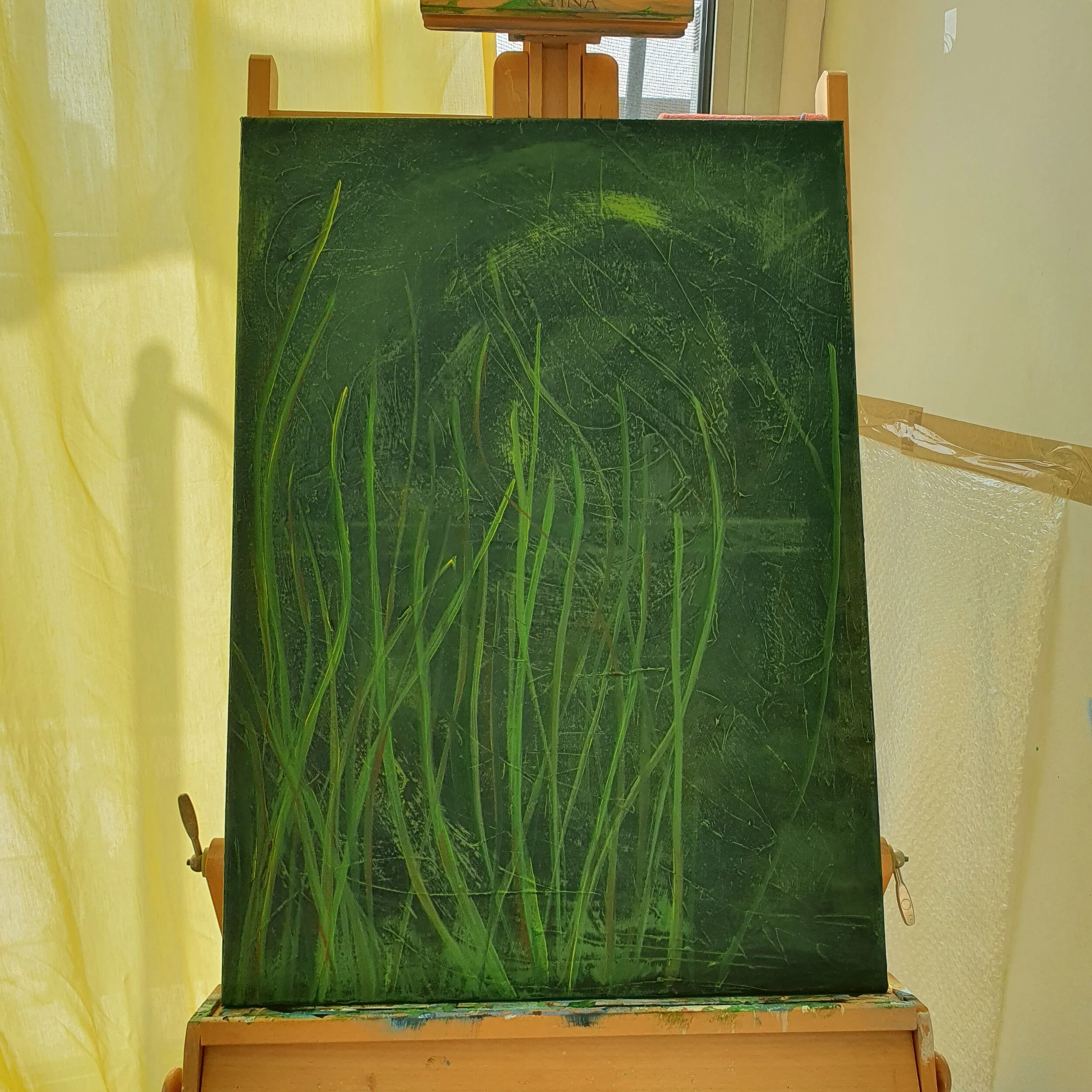 2021-02-19 14.33.23.jpg