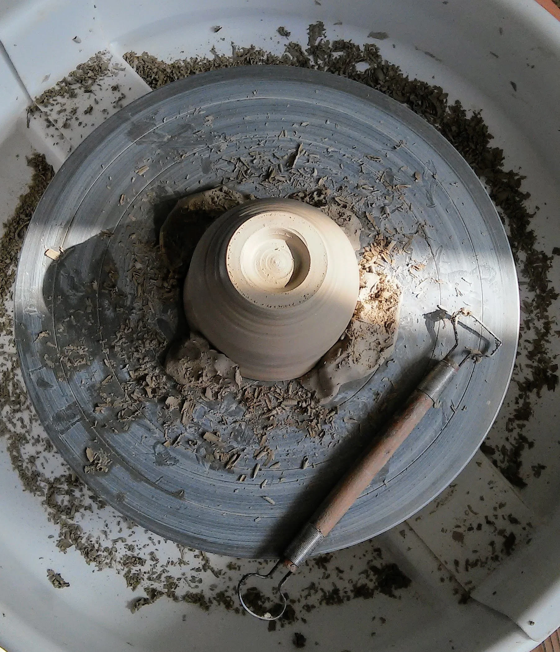 cup trimmed.jpg
