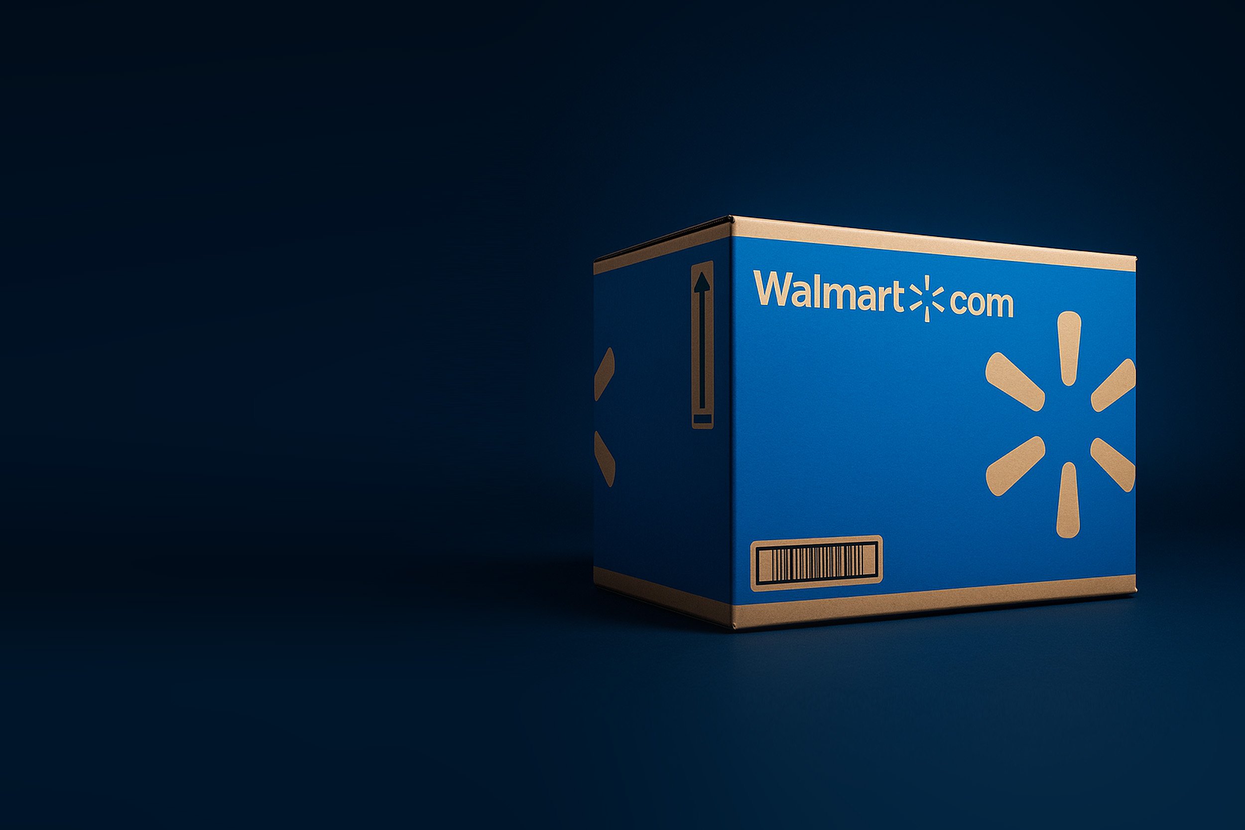 WalmartBox copy.jpg