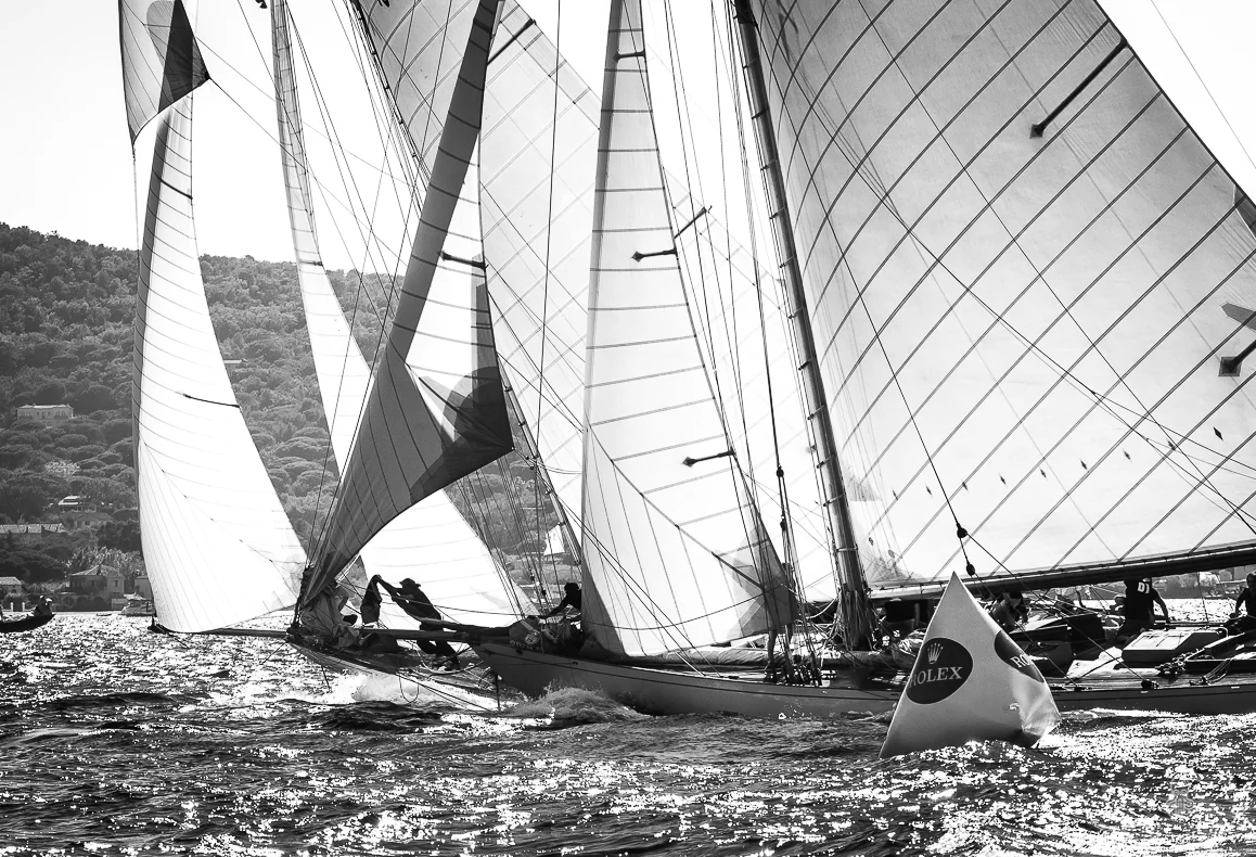 st-classic-8445.jpg