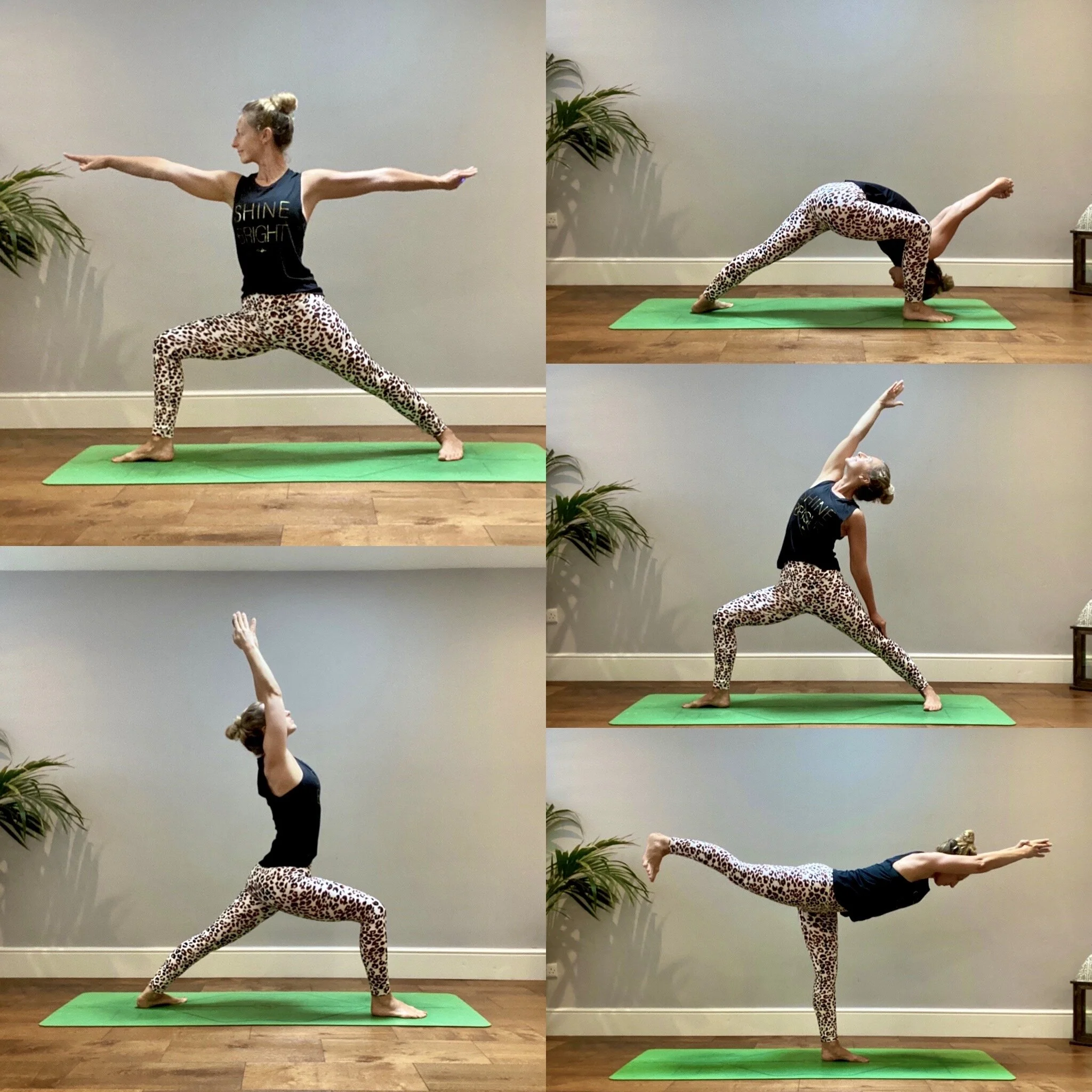 SOMA FLOW: spiritual warrior