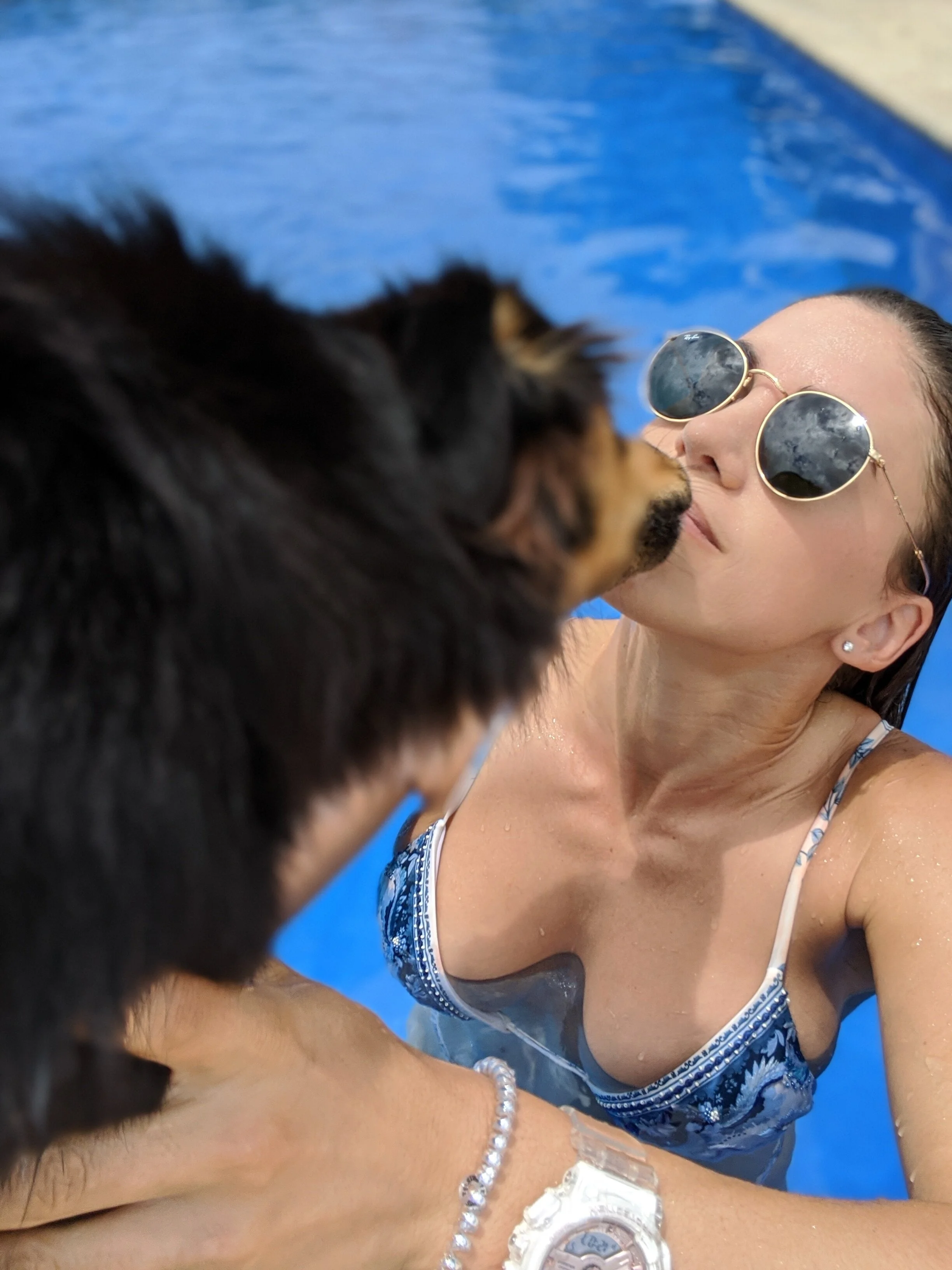 HOW TO TRAIN YOUR DOG?