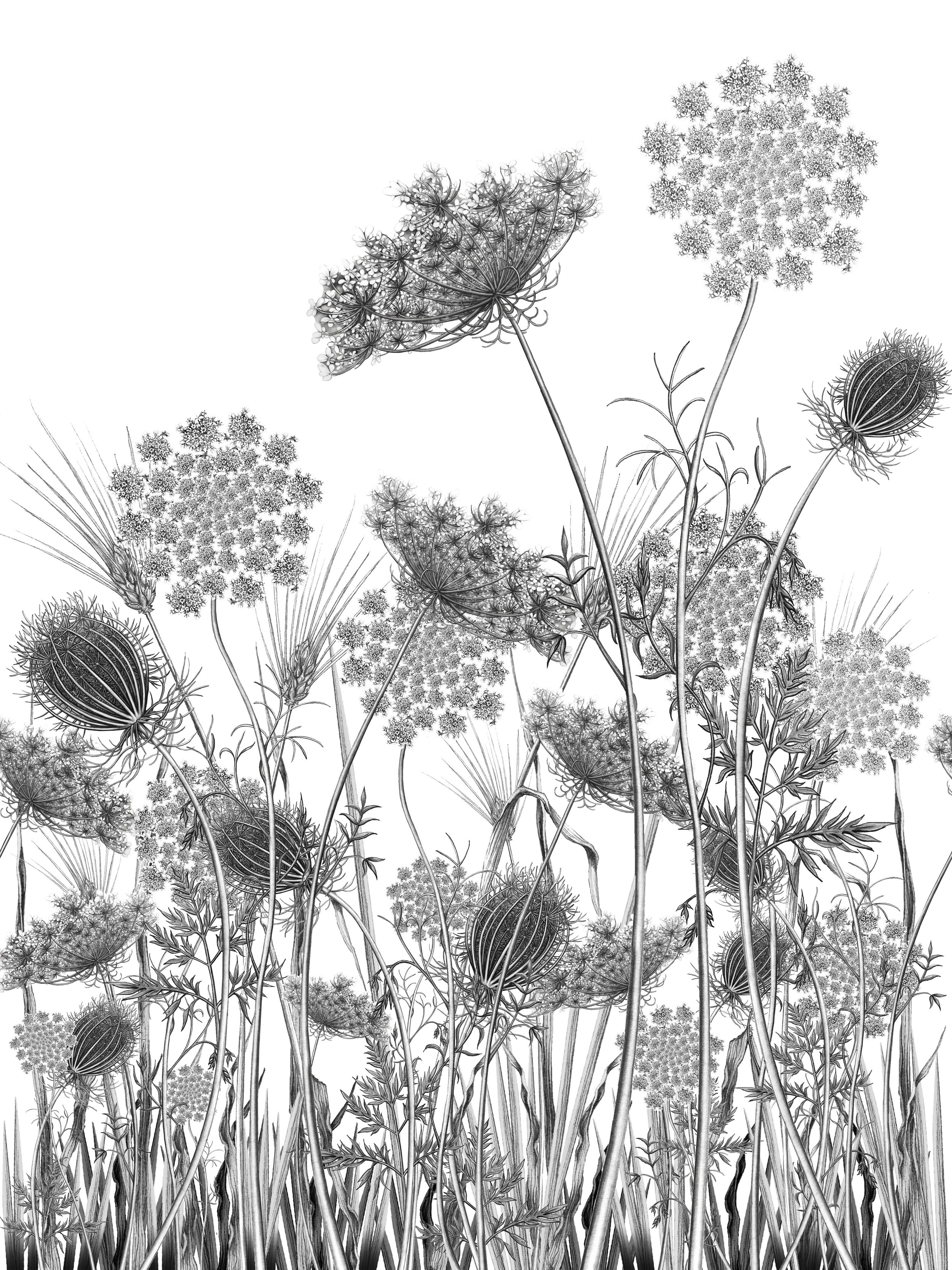 SUMMER-black-and-white.jpg
