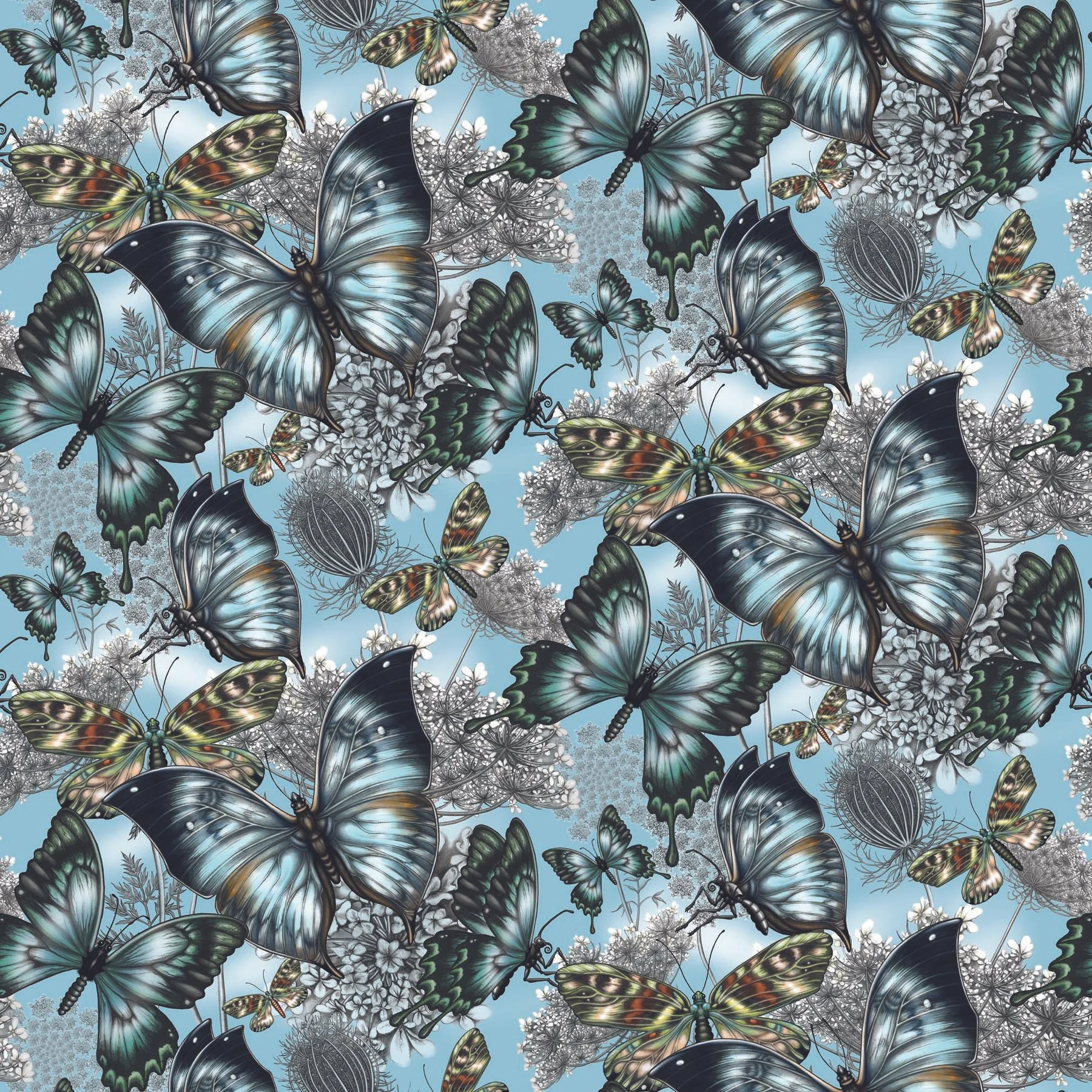 000-4SQ-(24A-b)-BUTTERFLY-repeated.jpg