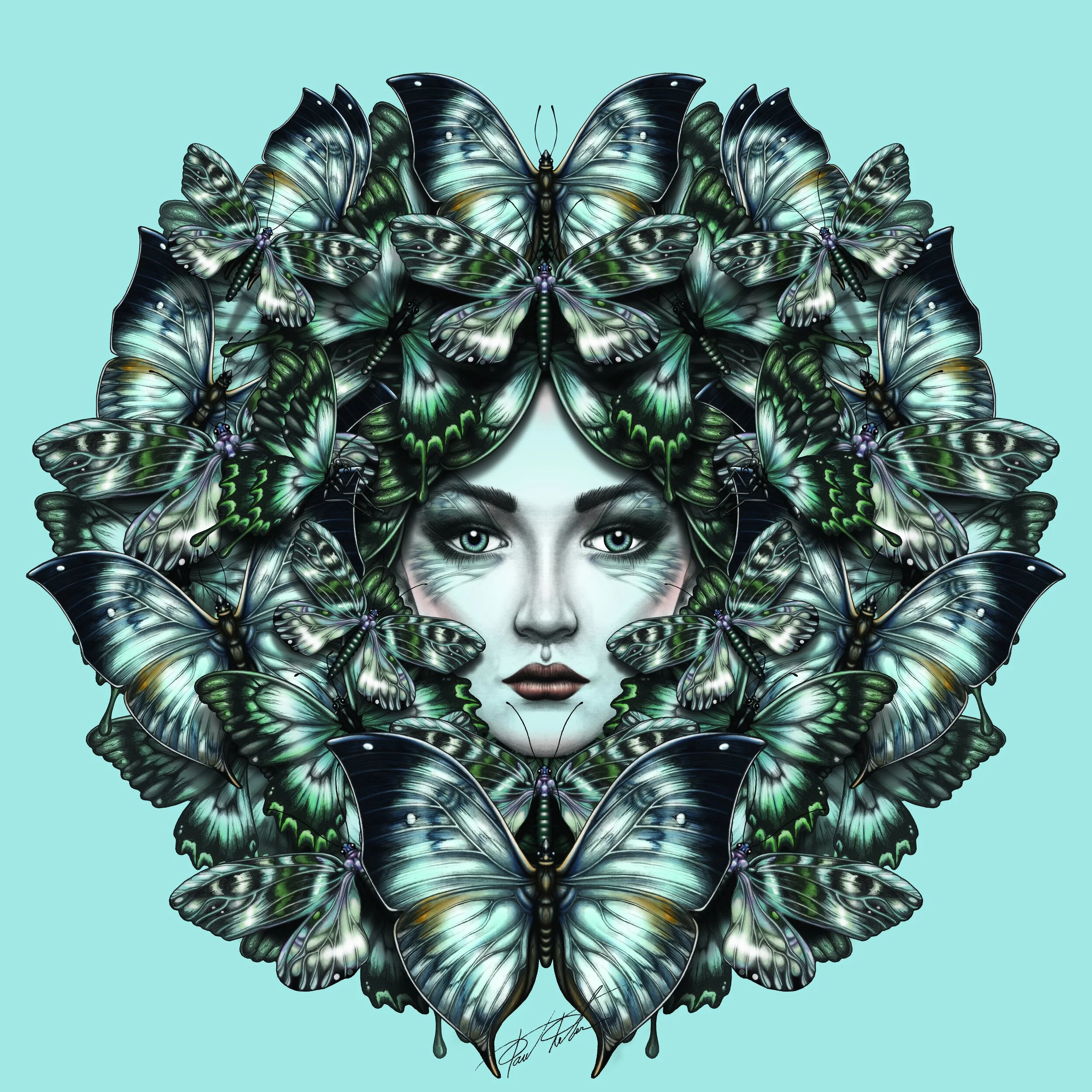 000-(24)-BUTTERFLY-.jpg