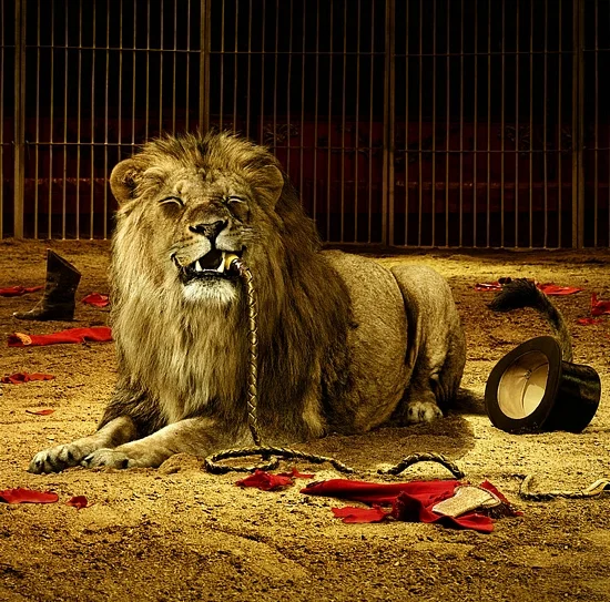 lion-in-cage.jpg