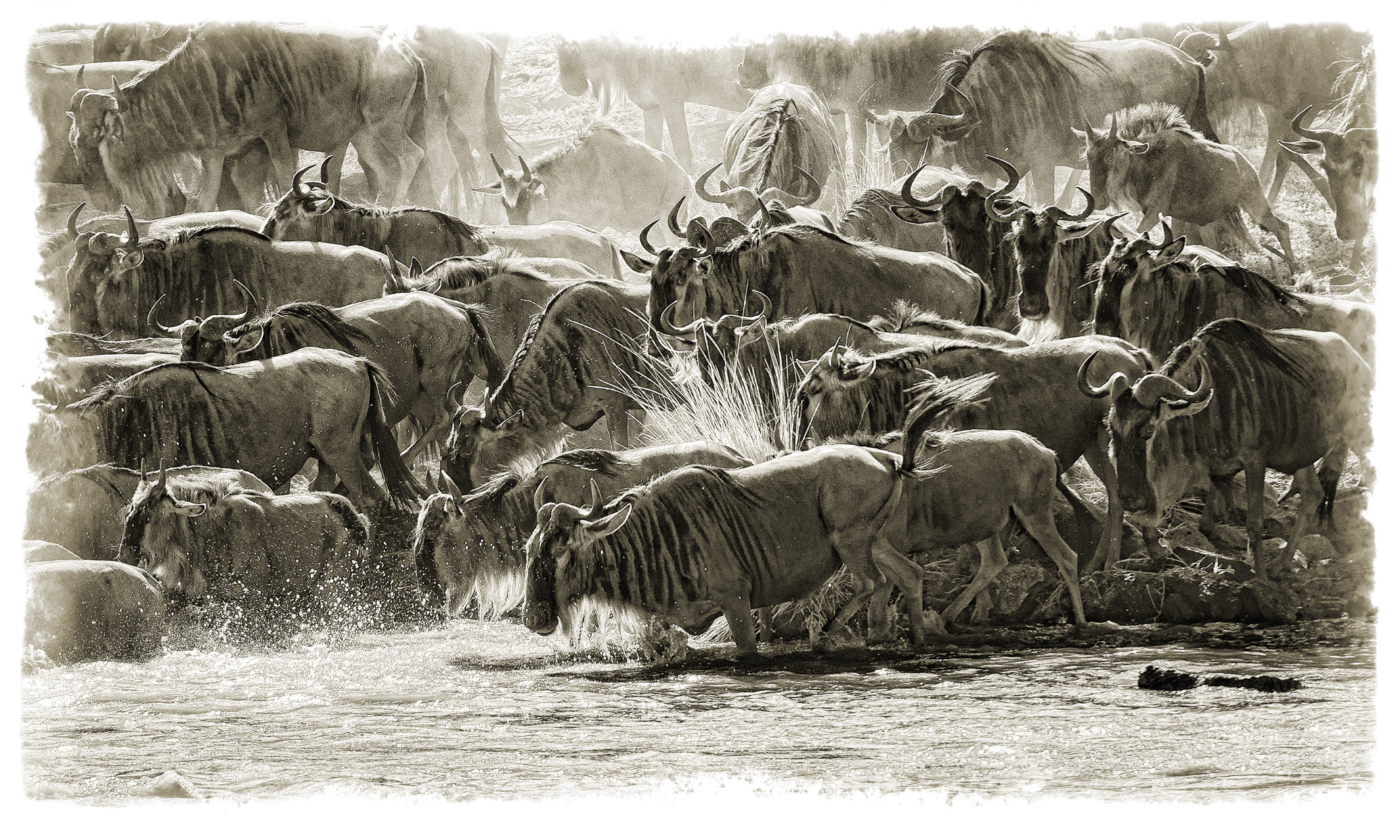 _GHR6513-18X30Brown-proof.jpg