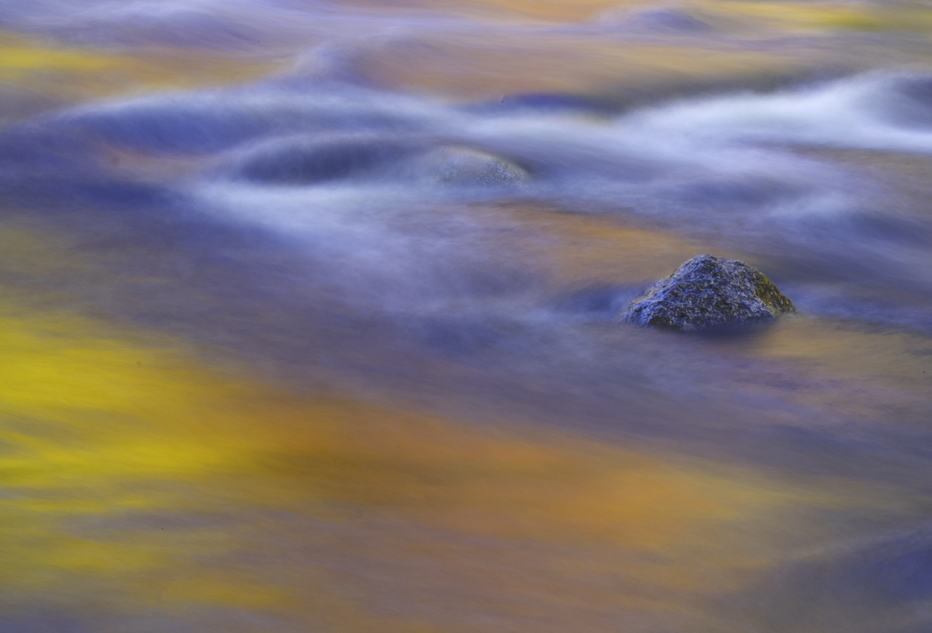 _DSF8885-Edit-Edit-Edit.jpg