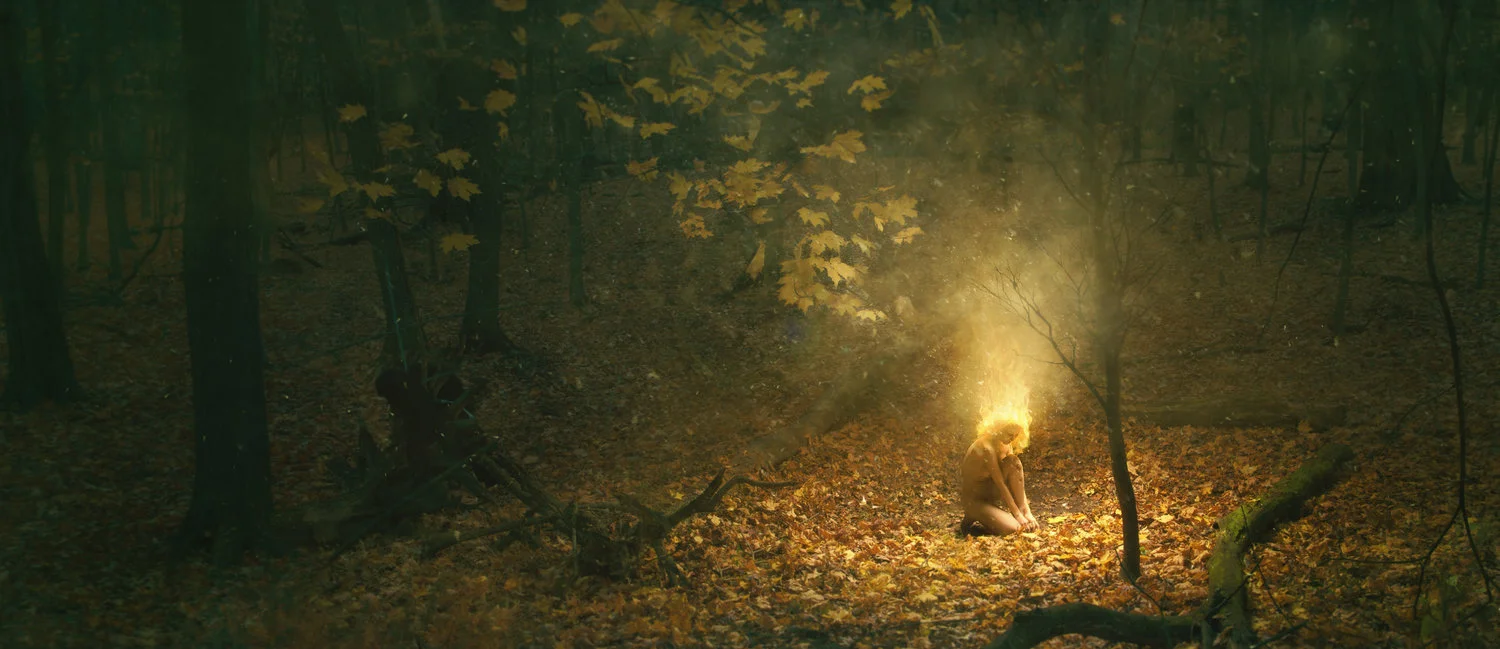 firewoods2.jpg