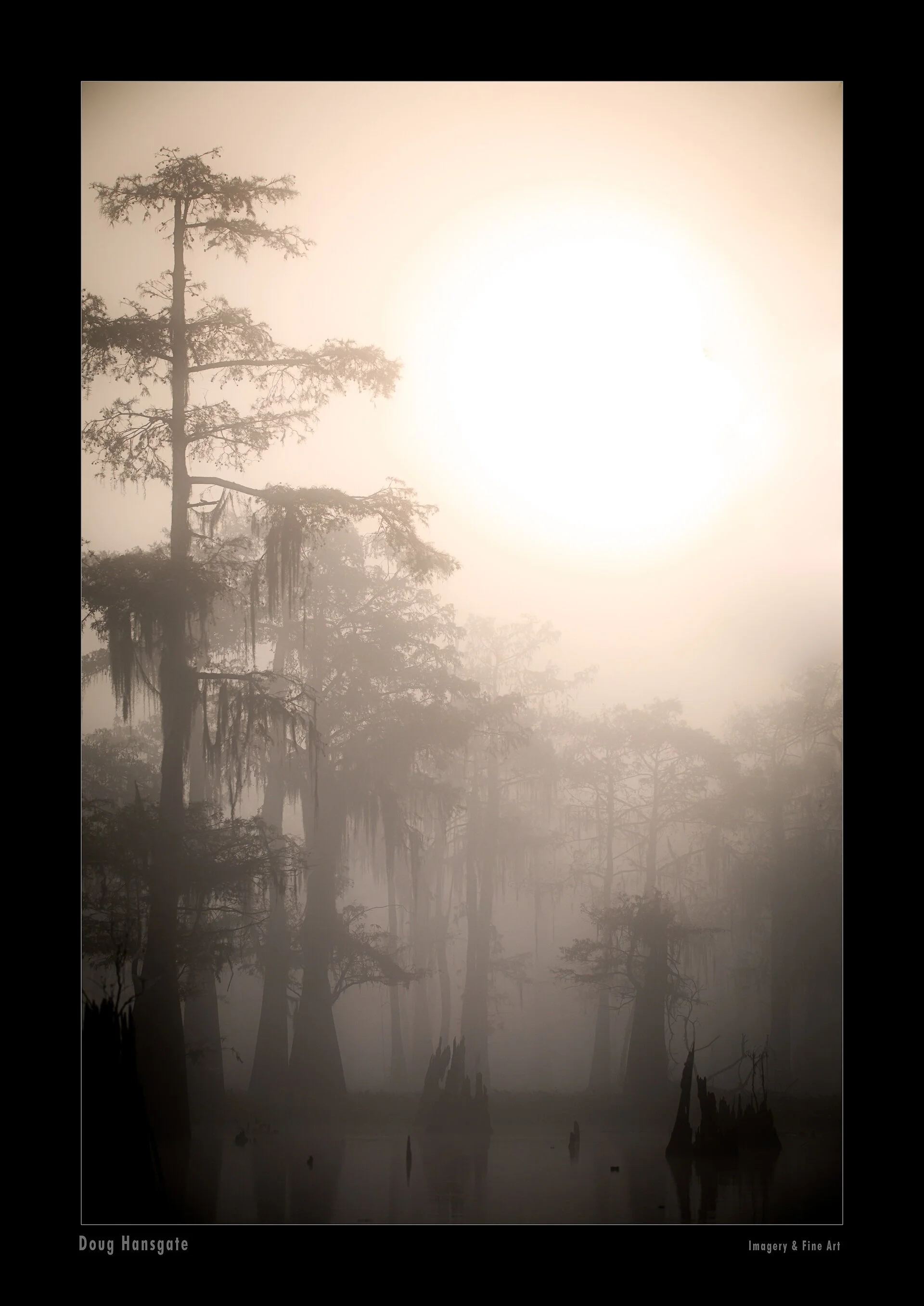 844DE3EF-3517-48C8-B149-24BFE925AB0A.jpeg