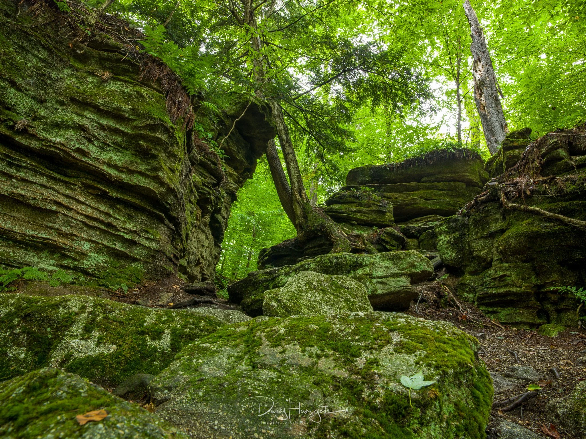 Panama Rocks Tour