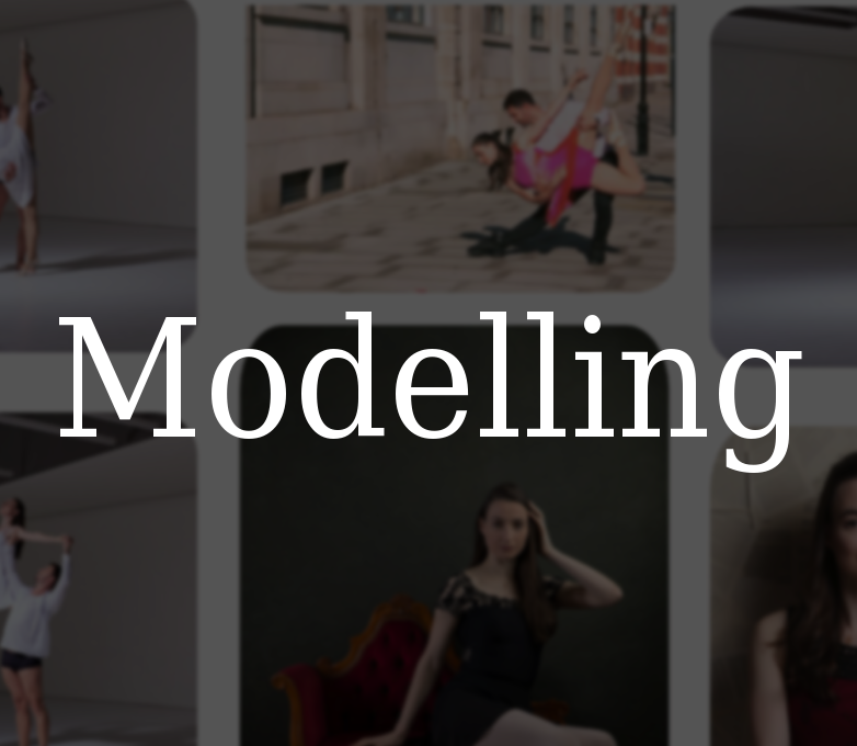 Modelling button.png