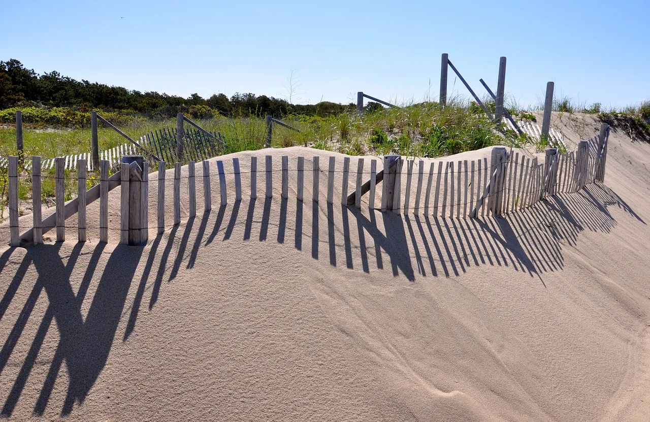 Cape Cod Dunes.jpg