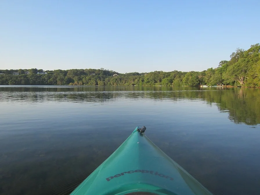 Regulate Cape Cod Mashpee.jpg