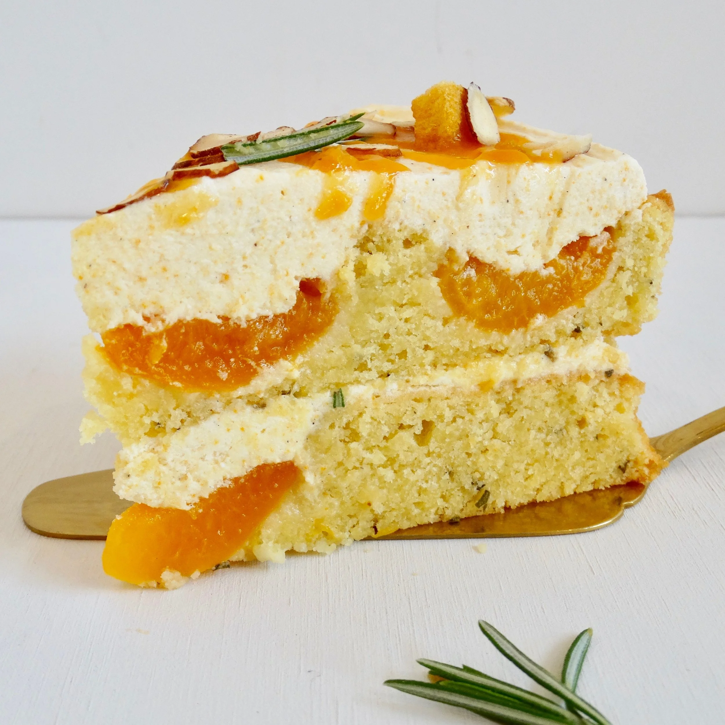 thecakerapricotslice.jpg