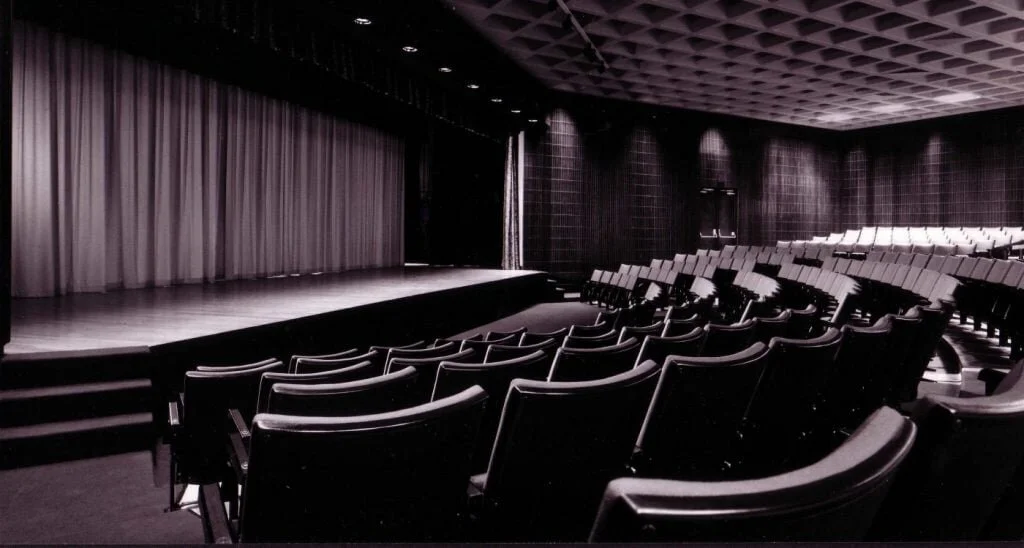 Why Are Drama Schools Charging For Online Auditions?